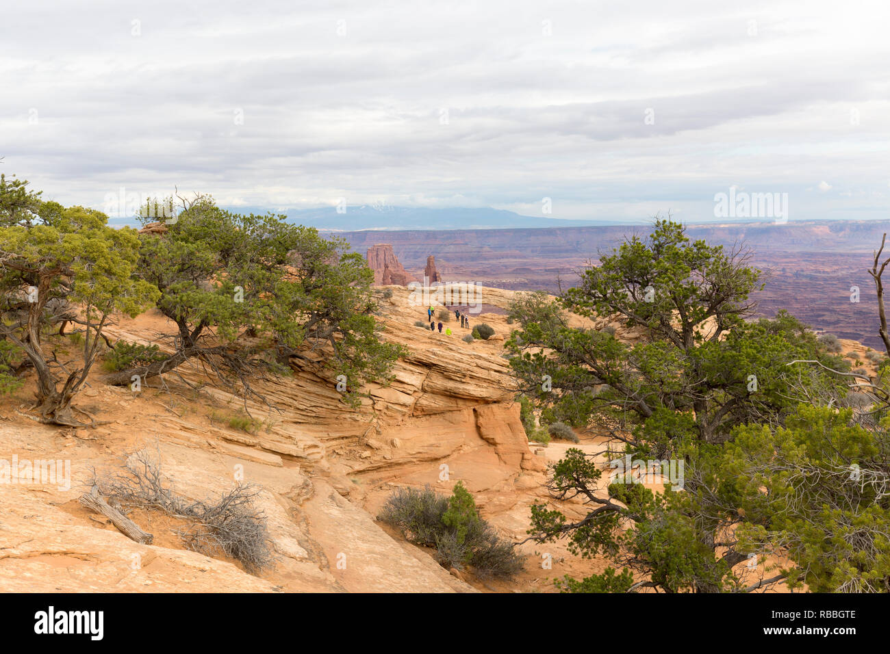 View of hikers making their way to Mesa Arch, in Canyonlands National Park. Utah junipers scattered along the way. Stock Photo