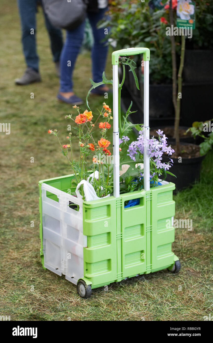 Shopping Trolley with flowers at a flower show Stock Photo Alamy