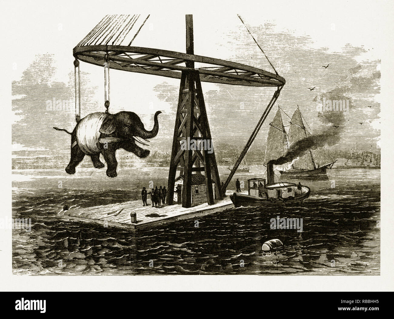 Elephant “Kaiser Wilhelm” Arrives in New York Engraving, 1873 Stock Photo