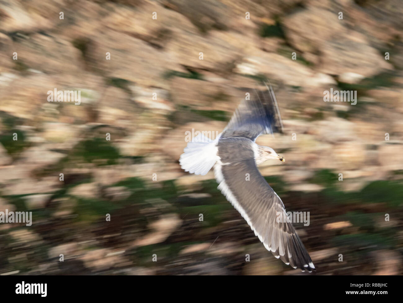 Air currents hi-res stock photography and images - Alamy