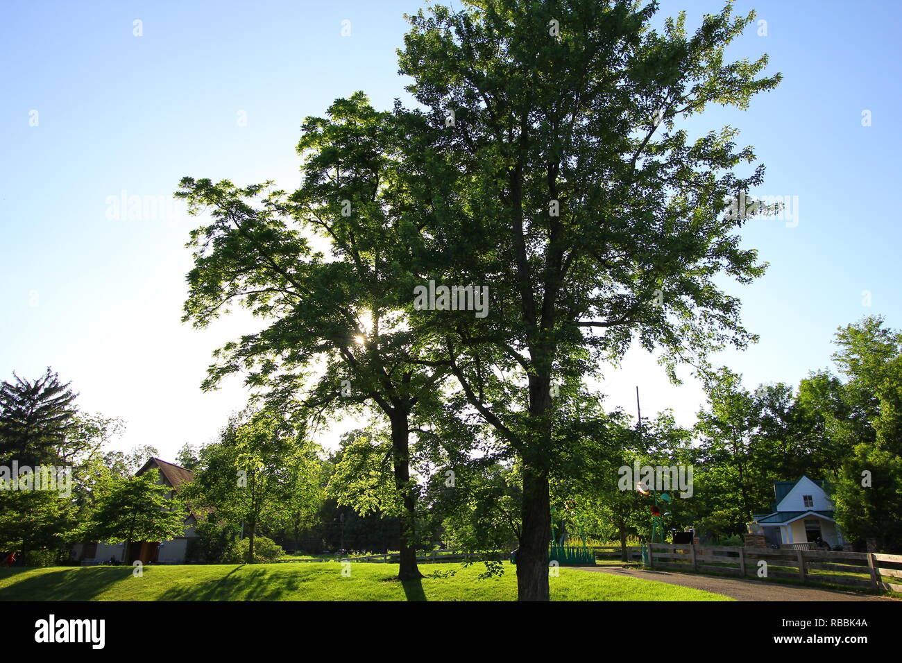 Trees At Inniswood Metro Gardens Westerville Ohio Stock Photo