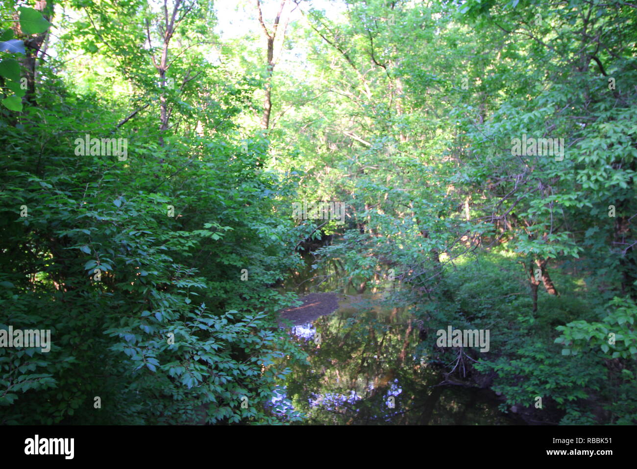 Trees At Inniswood Metro Gardens Westerville Ohio Stock Photo