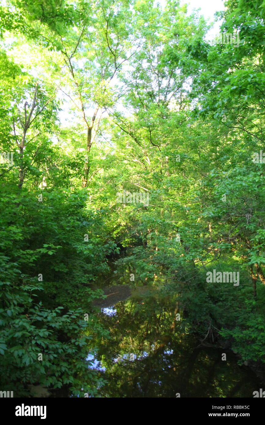 Trees at Inniswood Metro Gardens, Westerville, Ohio Stock Photo Alamy
