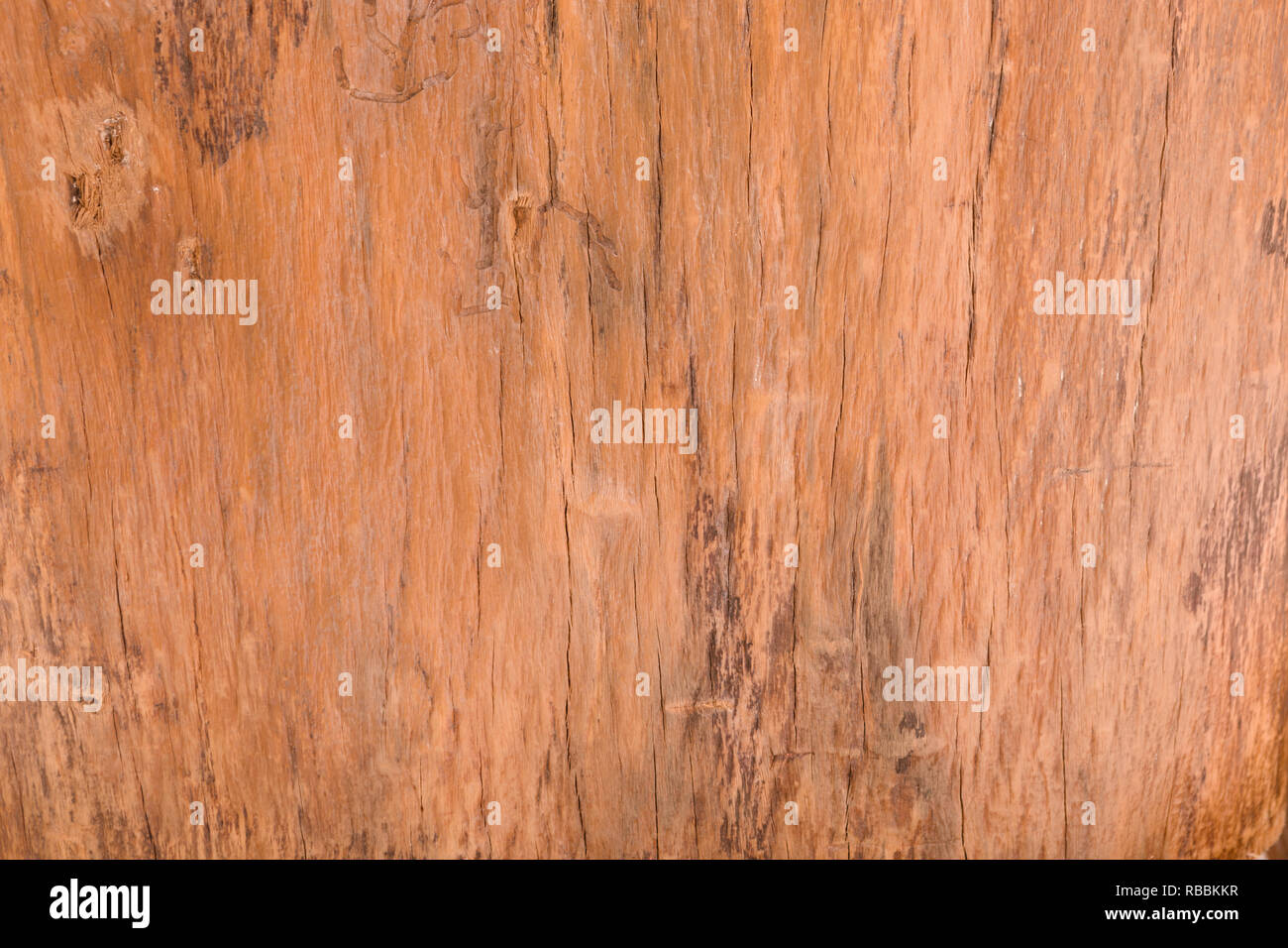 Wood texture. Wood texture for design and decoration. texture of wood use as natural background - Imagem Stock Photo