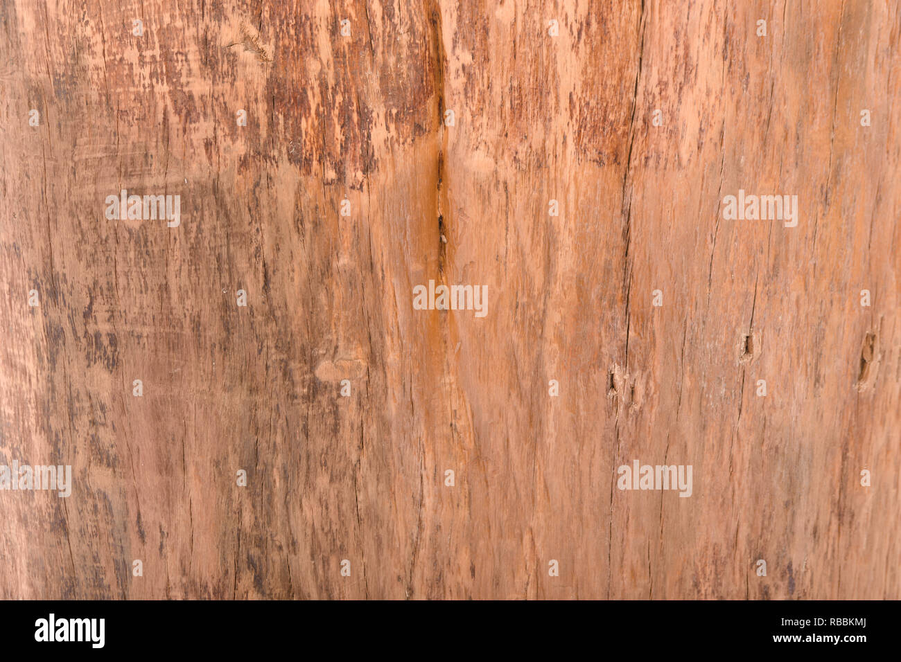 Wood texture. Wood texture for design and decoration. texture of wood use as natural background - Imagem Stock Photo