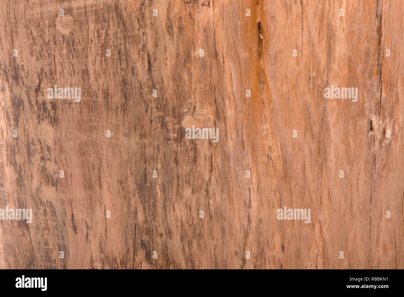 Wood texture. Wood texture for design and decoration. texture of wood use as natural background - Imagem Stock Photo