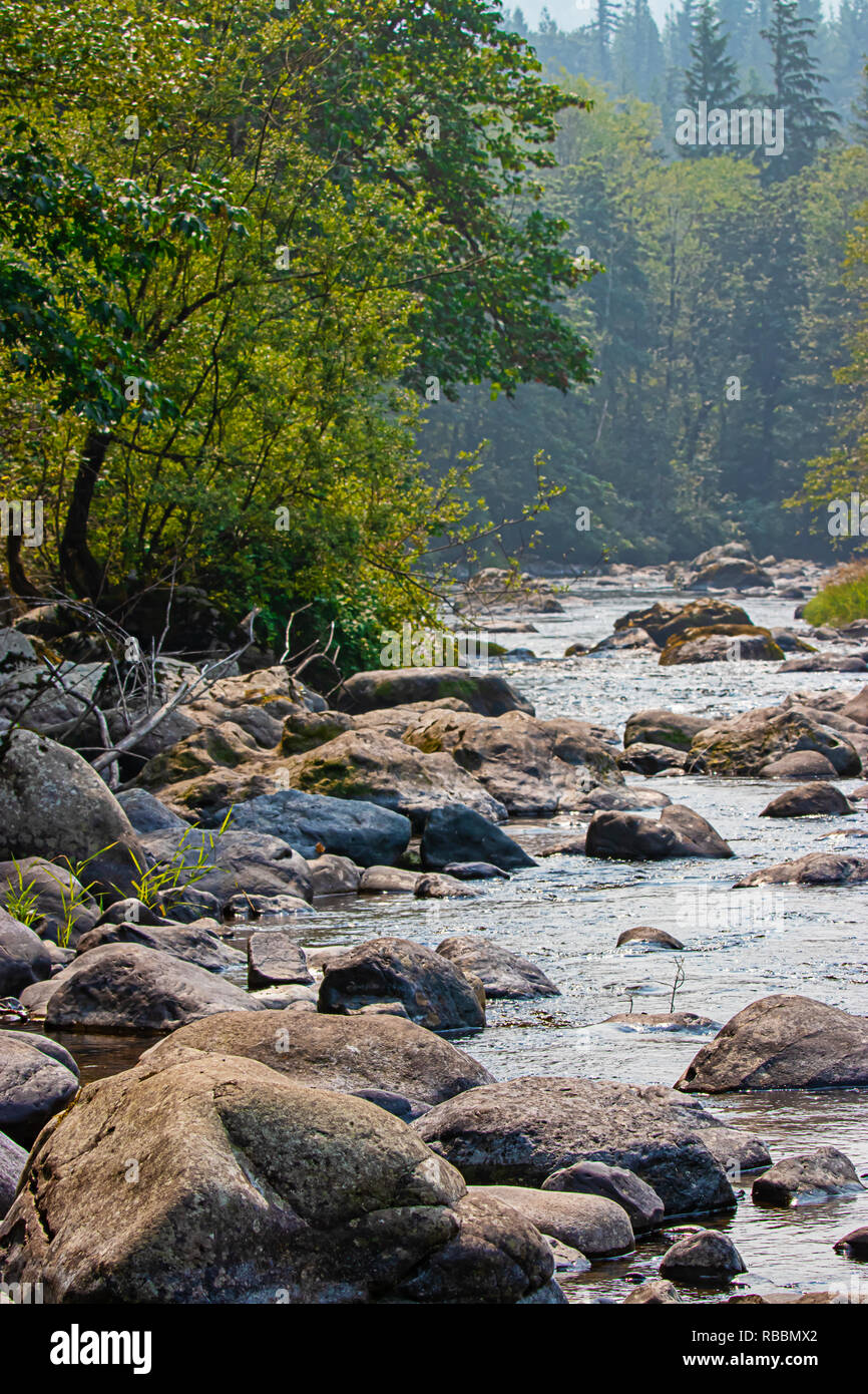 River With Large Rocks boulders and large rocks rise out of wide flat river in summer with ...
