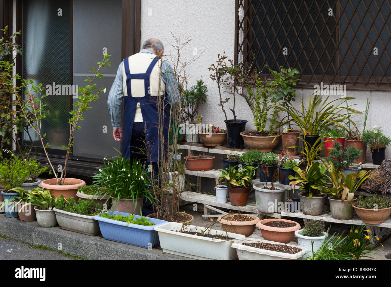 Elderly man in Tokyo tending plants outside an apartment Stock Photo