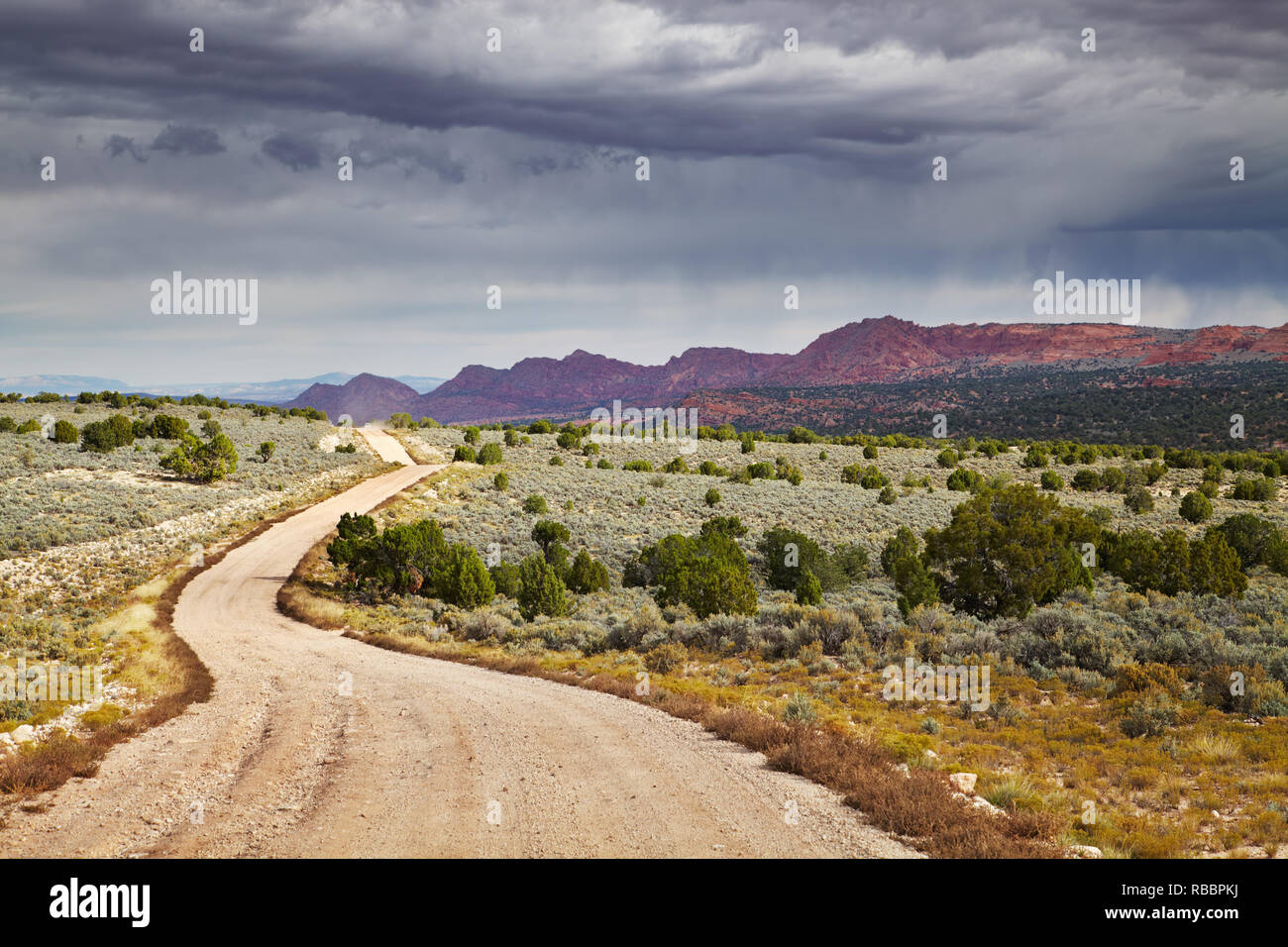 House Rock Valley road in Utah and Arizona desert, USA Stock Photo