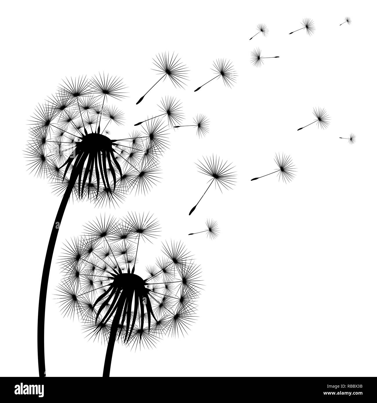 photo Flor Diente De Leon Vector https www alamy com silhouette of a flowering dandelion image230757951 html
