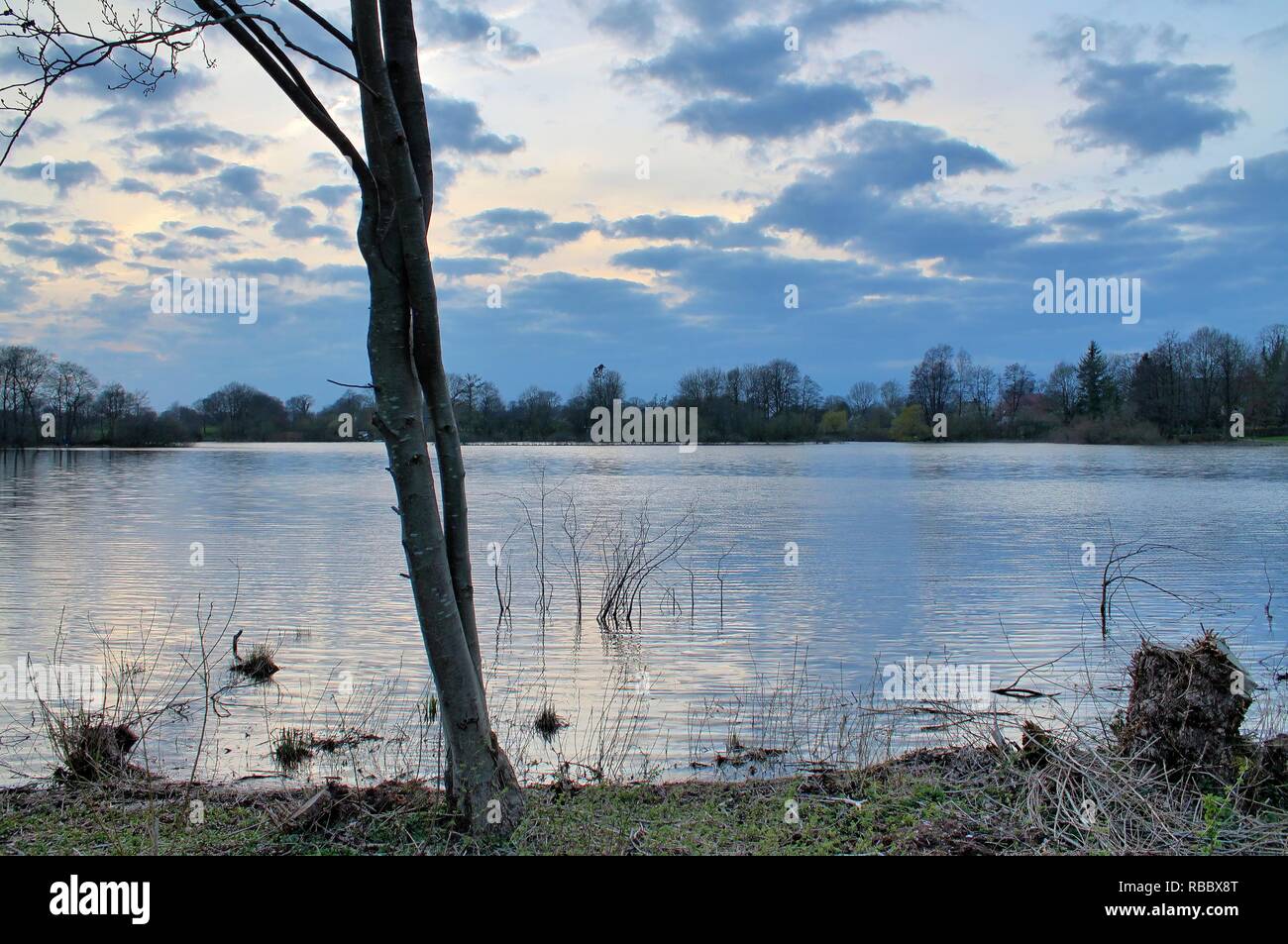 Beautiful autumn landscape with trees and leaves Stock Photo - Alamy