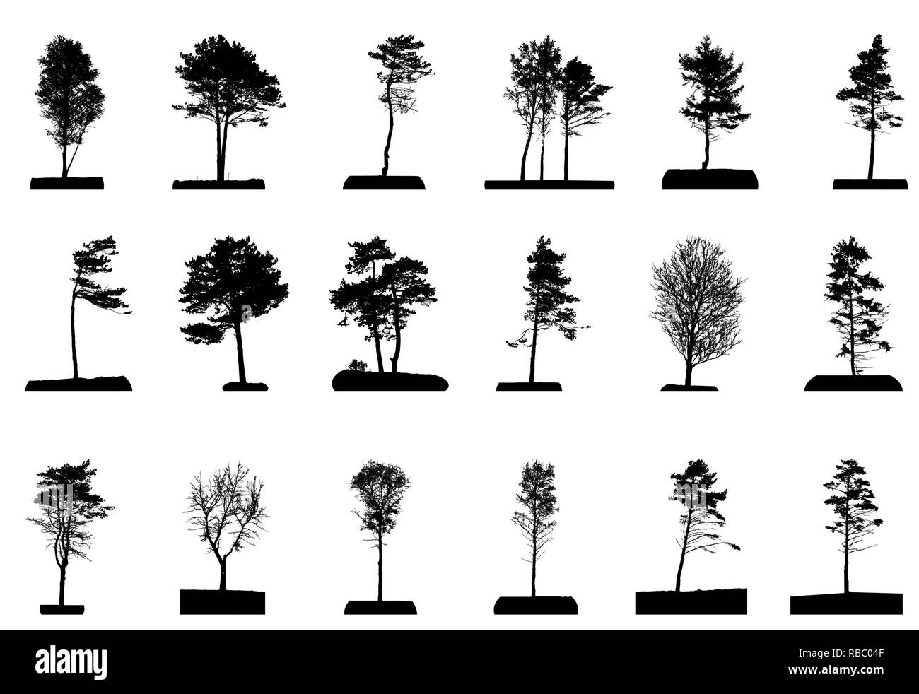 Set of Green Tree Isolated on White Background. Vector Illustration ...