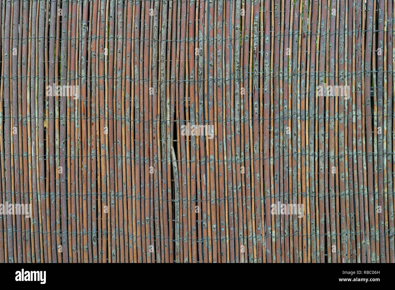 Grunge bamboo pattern - high quality texture / background Stock Photo