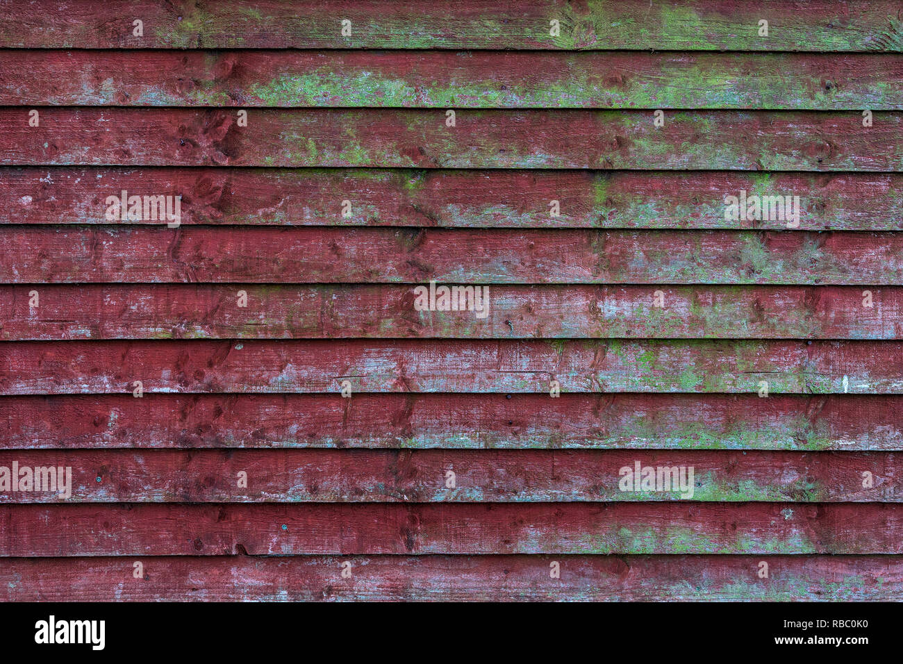 Grunge old red wooden fence with green moss patterns - high quality texture / background Stock Photo
