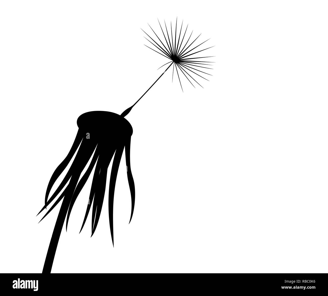 Silhouette of a flowering dandelion Stock Vector