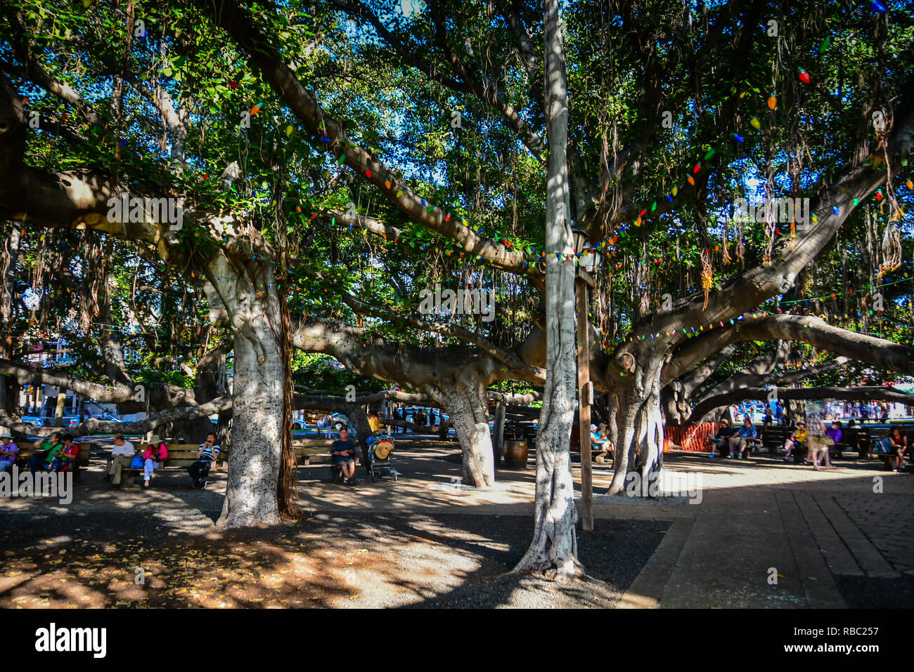 Historic Lahaina, Maui, 1st Capital of the Hawaiian Islands and former whaling town. Stock Photo