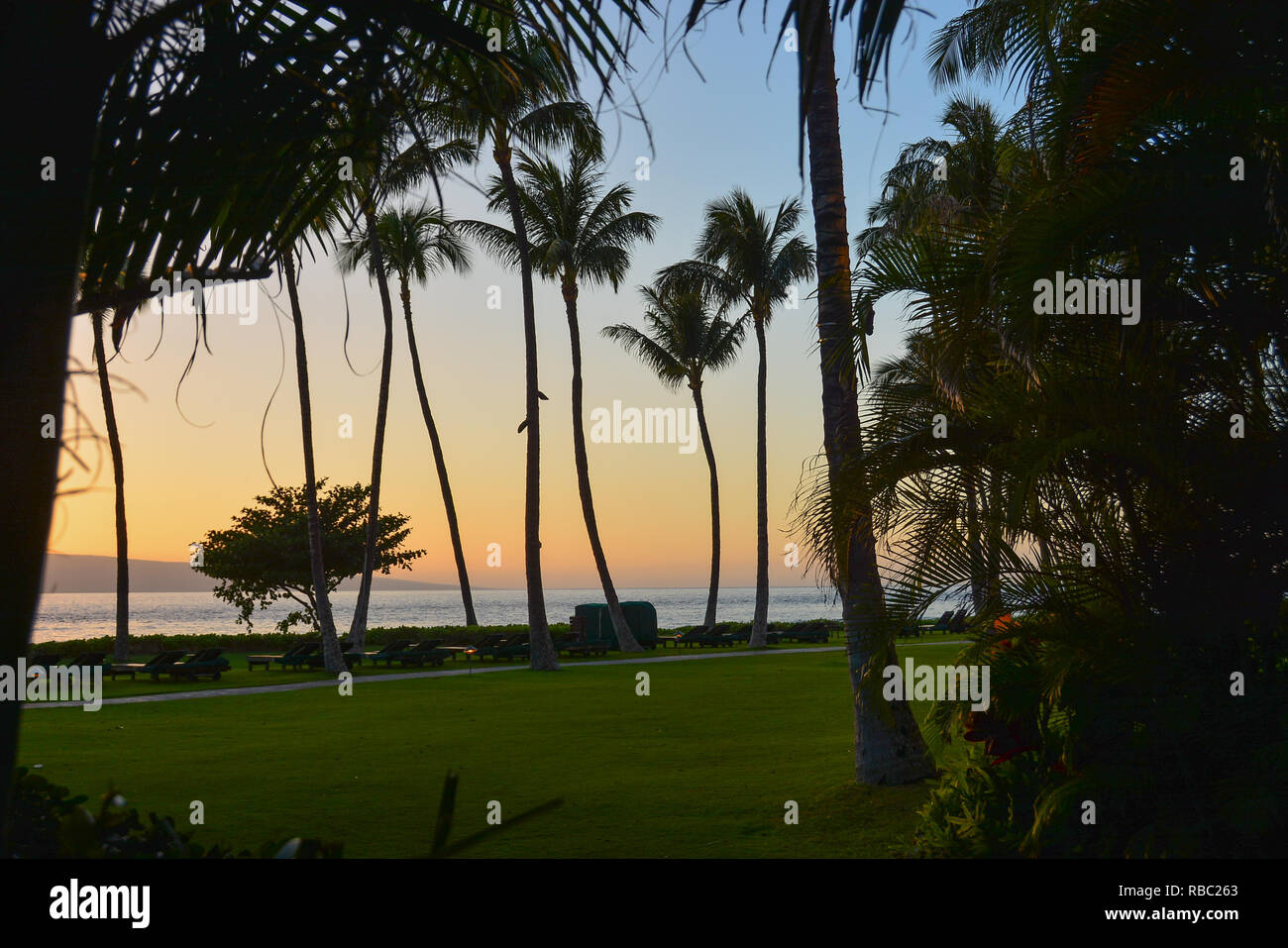Kaanapali Beach Walk High Resolution Stock Photography and Images - Alamy