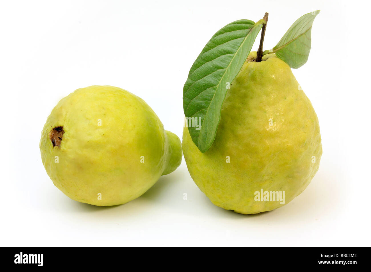 close-up guava fruit, pink, fresh, organic, with leaves, isolated on ...