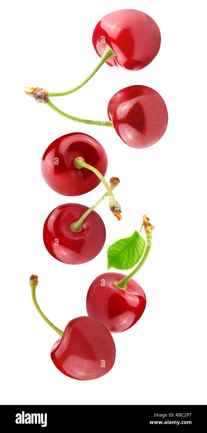 Flying fresh cherry berries isolated on white  Stock Photo
