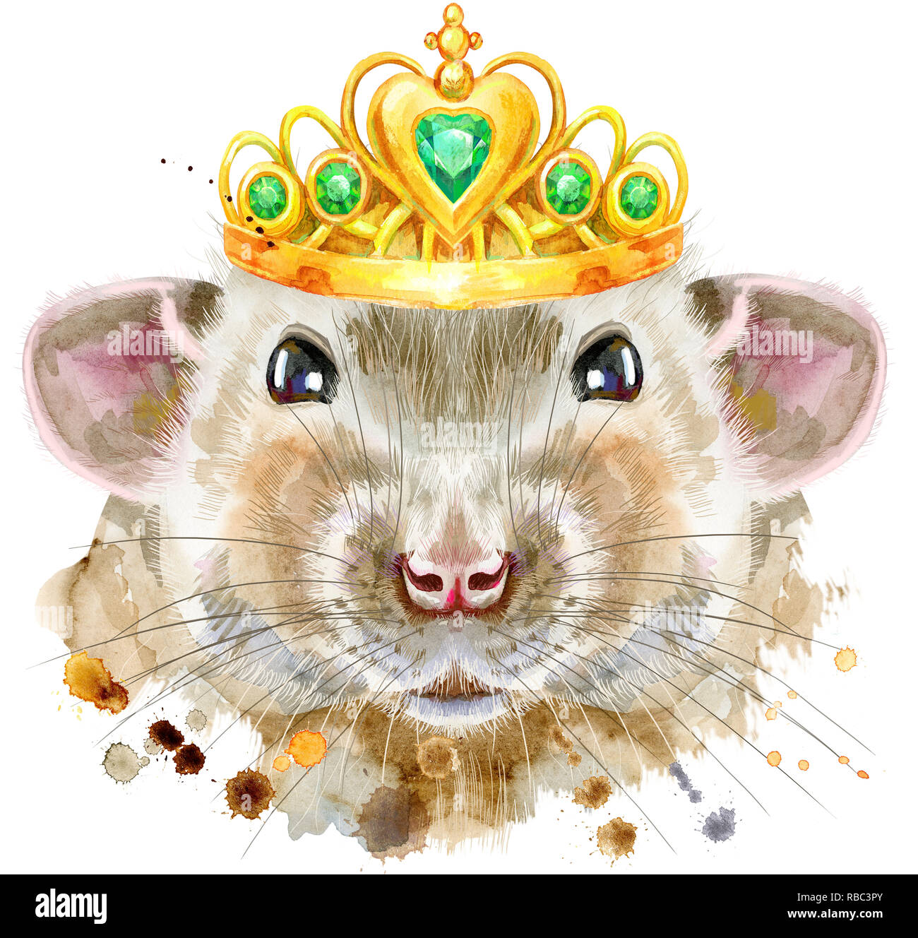 cartoon rat wearing a crown Stock Vector Image & Art - Alamy