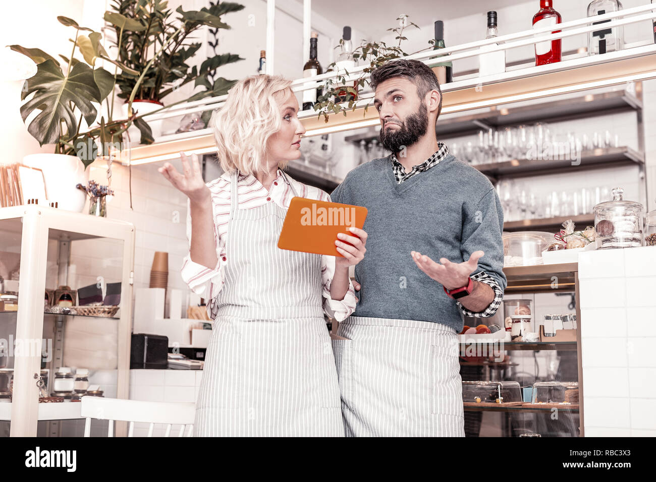 Nice pleasant colleagues discussing their ideas together Stock Photo