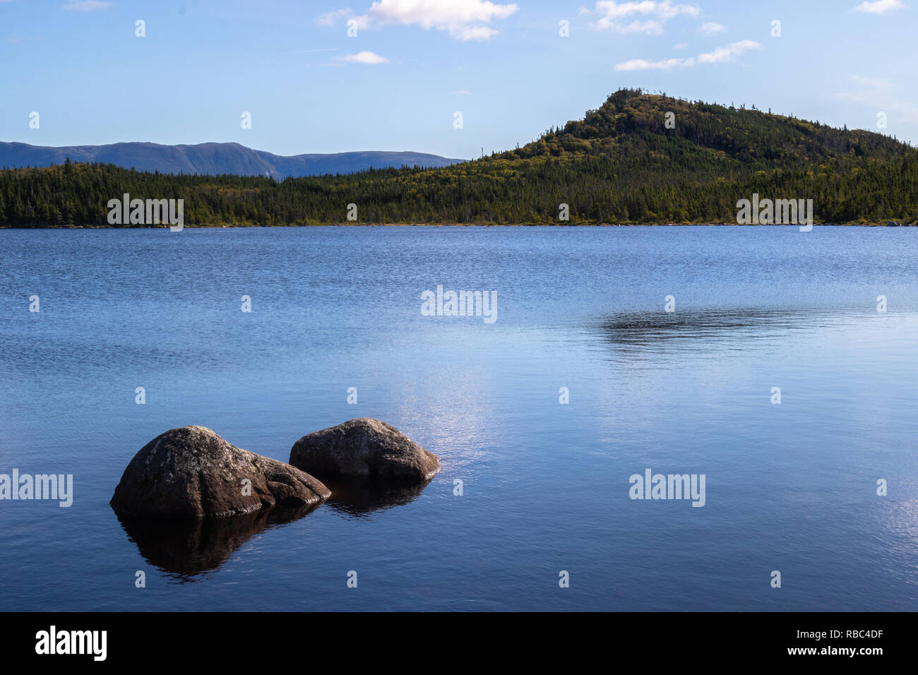 Blue Water Lake Newfoundland Canada Stock Photos Blue Water Lake
