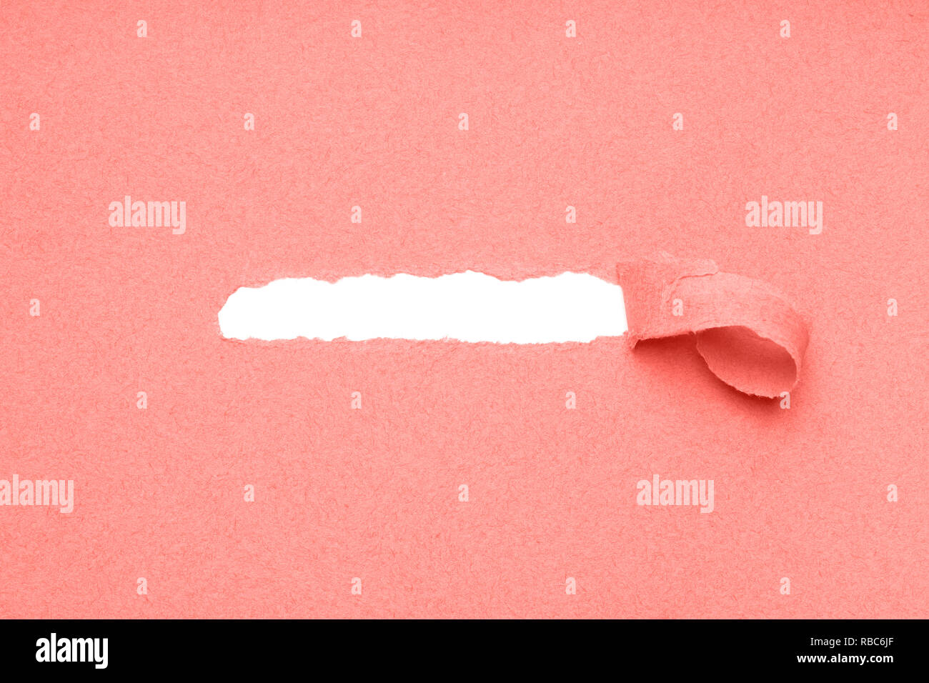 hole torn in coral color paper background to reveal hidden copy space Stock Photo