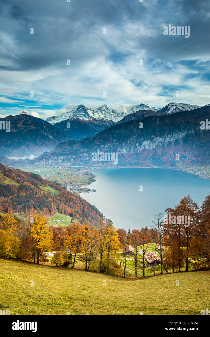 Eiger Monch Jungfrau Mountains Above Lake Thun Berner Oberland eiger-monch-jungfrau-mountains-above-lake-thun-berner-oberland