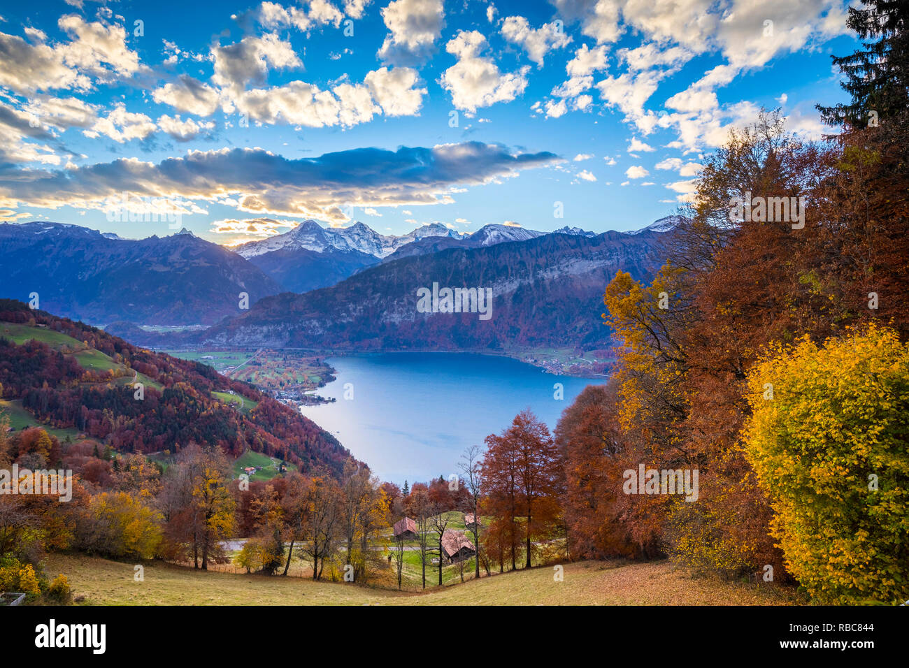 Eiger Monch Jungfrau Mountains Above Lake Thun Berner Oberland eiger-monch-jungfrau-mountains-above-lake-thun-berner-oberland