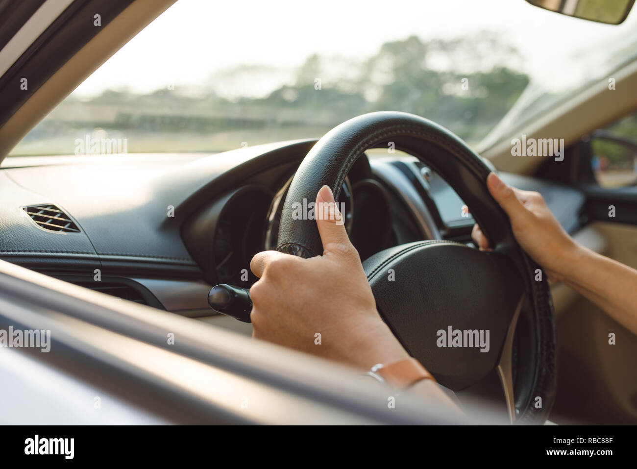 male hands on steering wheel on the right with country side view Stock