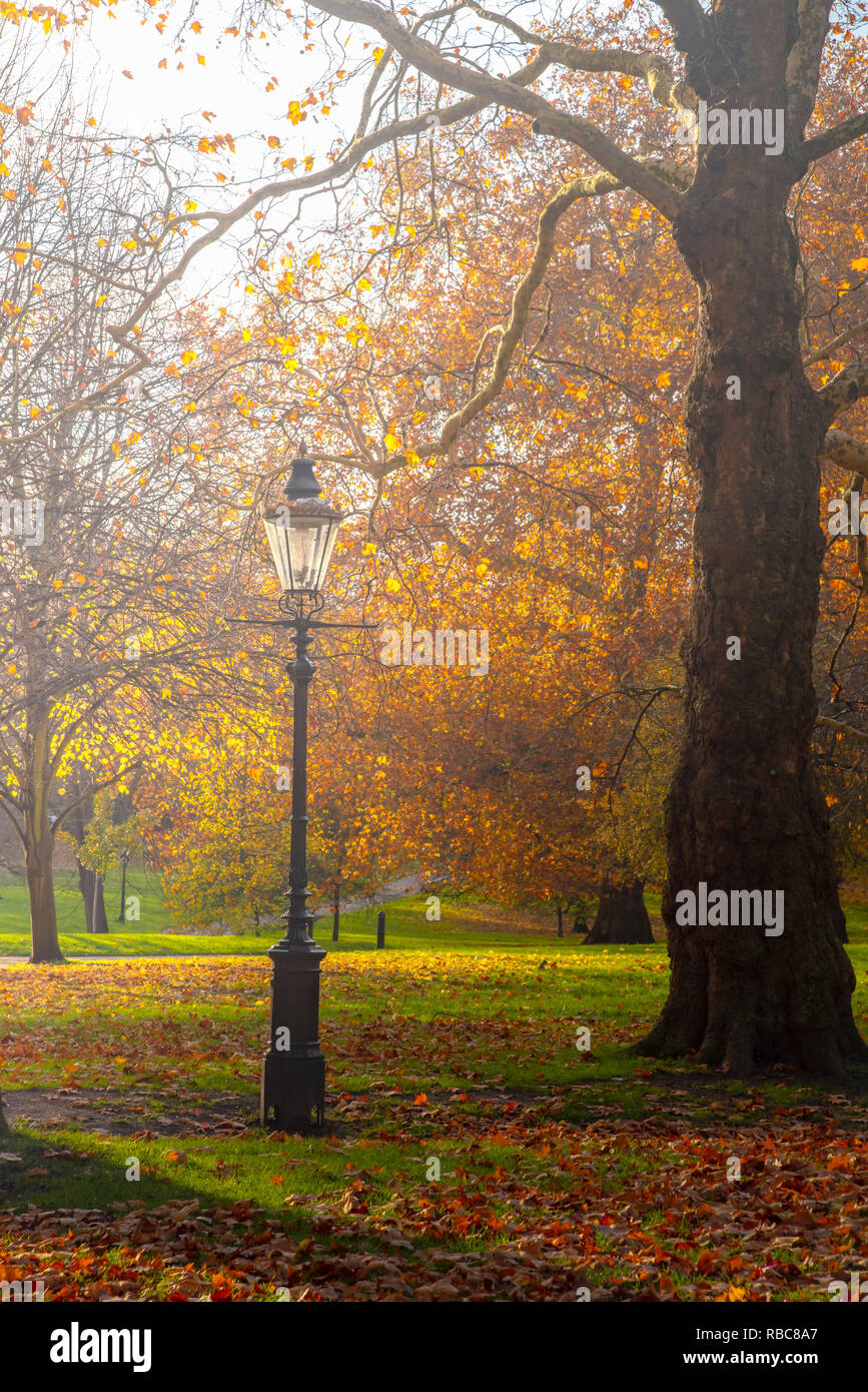 UK, England, London, Green Park in Autumn Stock Photo
