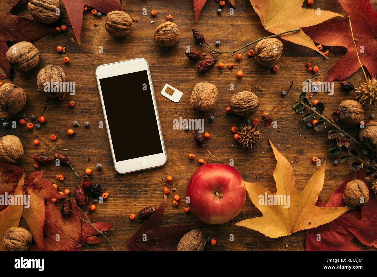 Modern smartphone with sim card, and autumn decoration, flat lay top view Stock Photo