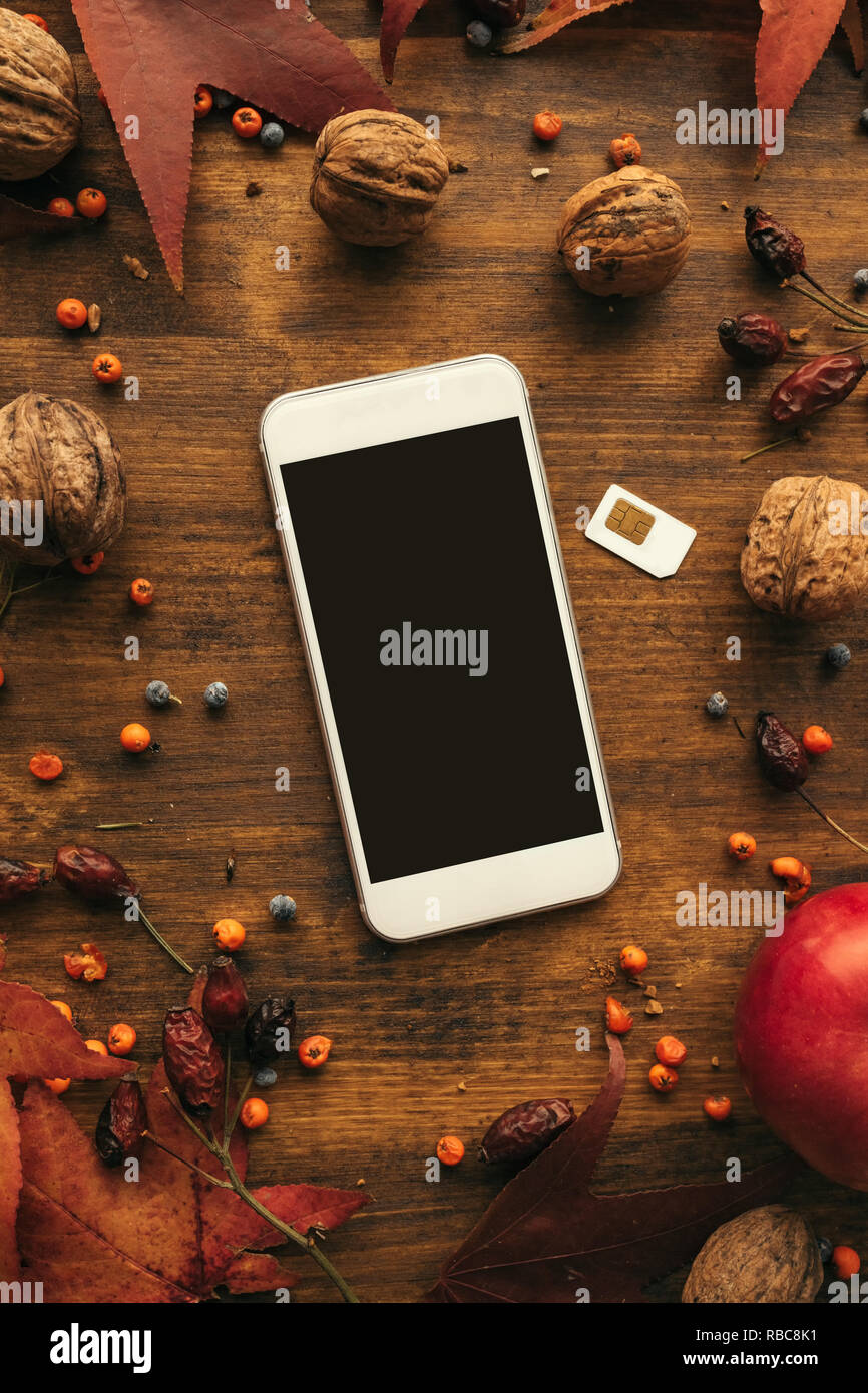 Modern smartphone with sim card, and autumn decoration, flat lay top view Stock Photo