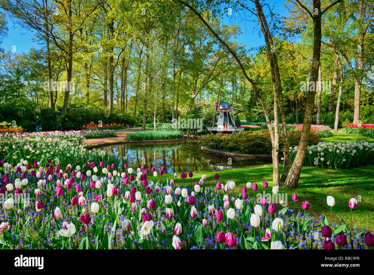 Keukenhof flower garden. Lisse, the Netherlands Stock Photo Alamy