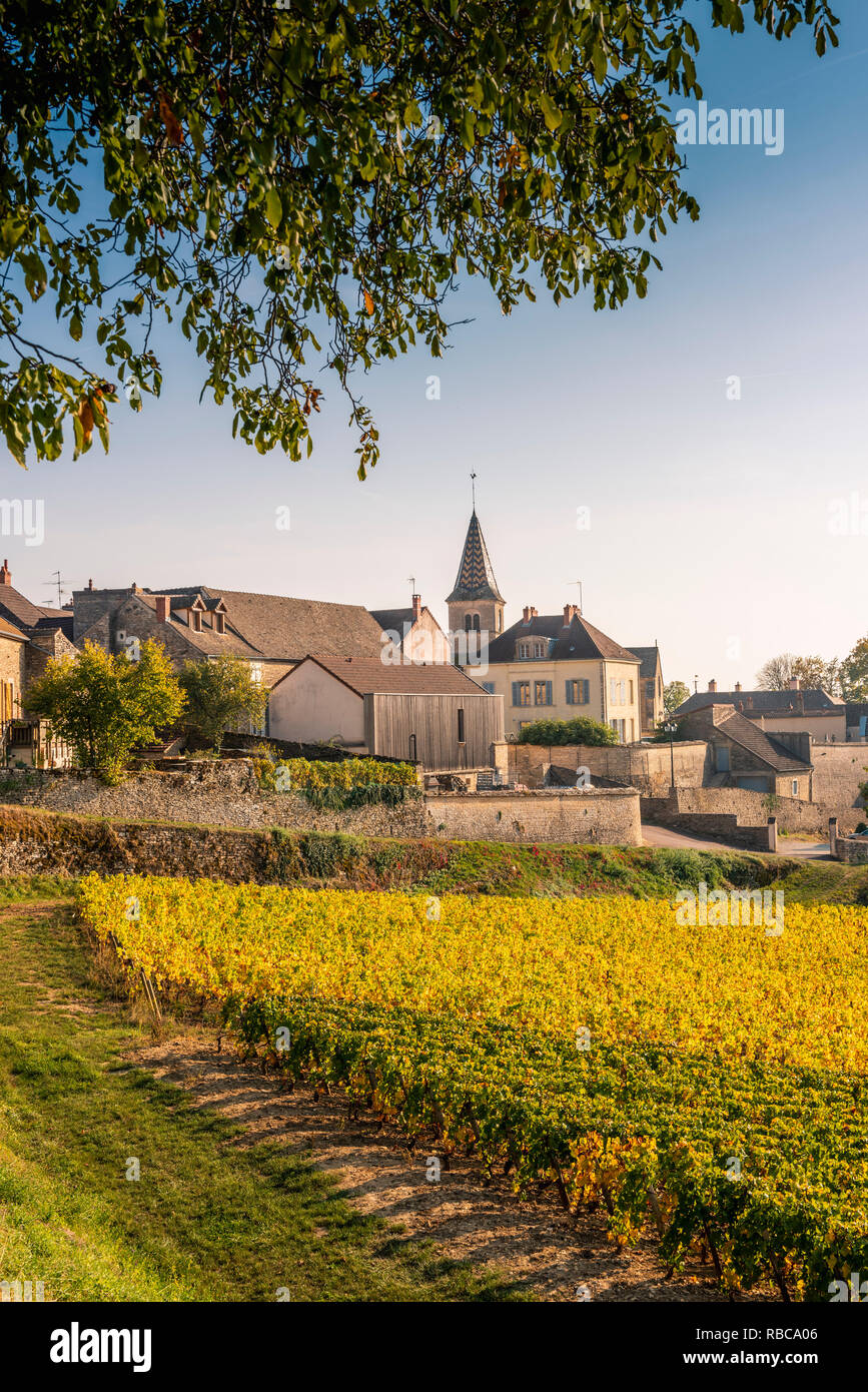 France, Bourgogne-Franche-Comte, Burgundy, Cote-d'Or, Monthelie. Stock Photo