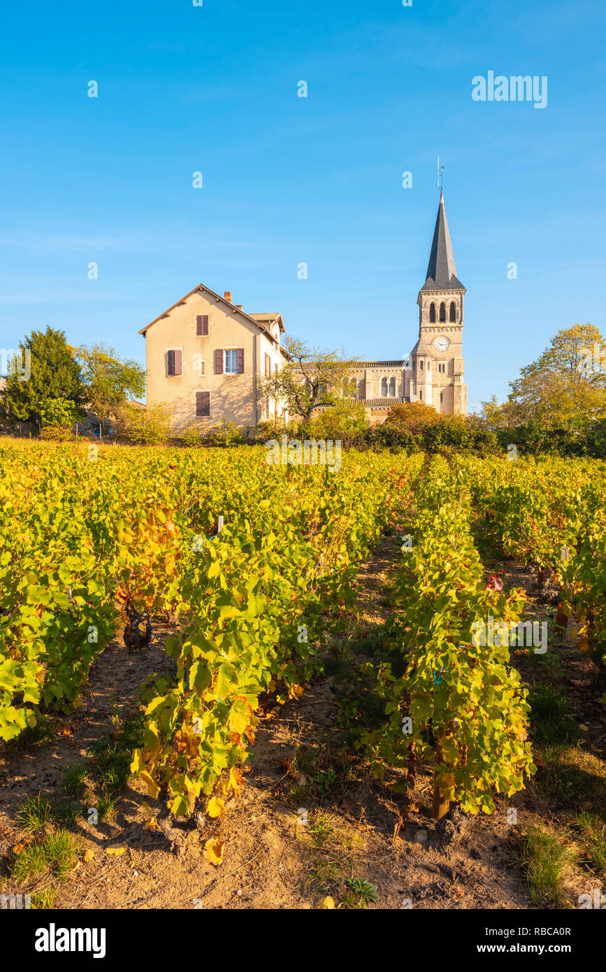 France, Auvergne-Rhone-Alpes, Beaujolais crus wine region, Chenas. Stock Photo