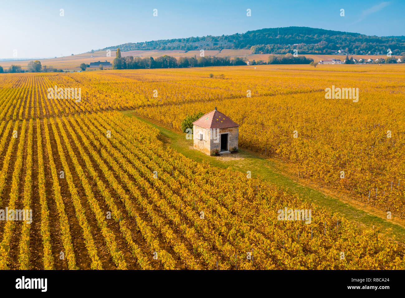 France, Bourgogne-Franche-Comte, Burgundy, Cote-d'Or, Cote de Beaune.  Typical barn in the vineyards Stock Photo - Alamy