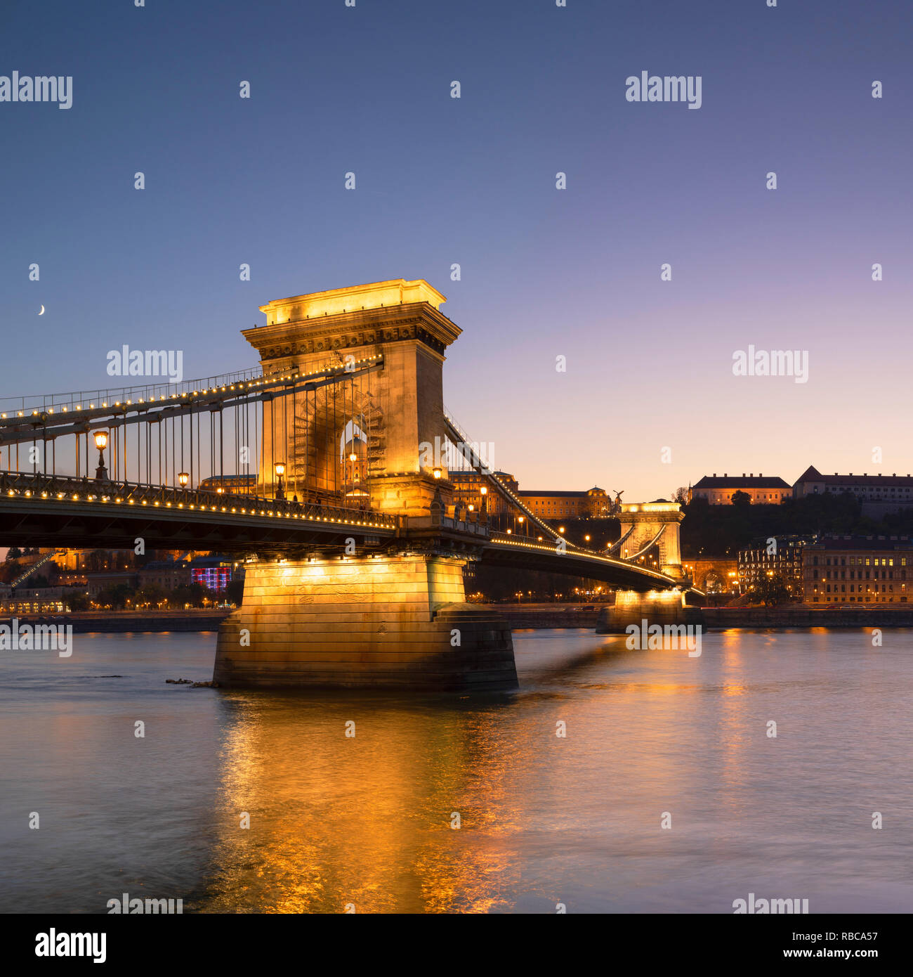 My Image 12