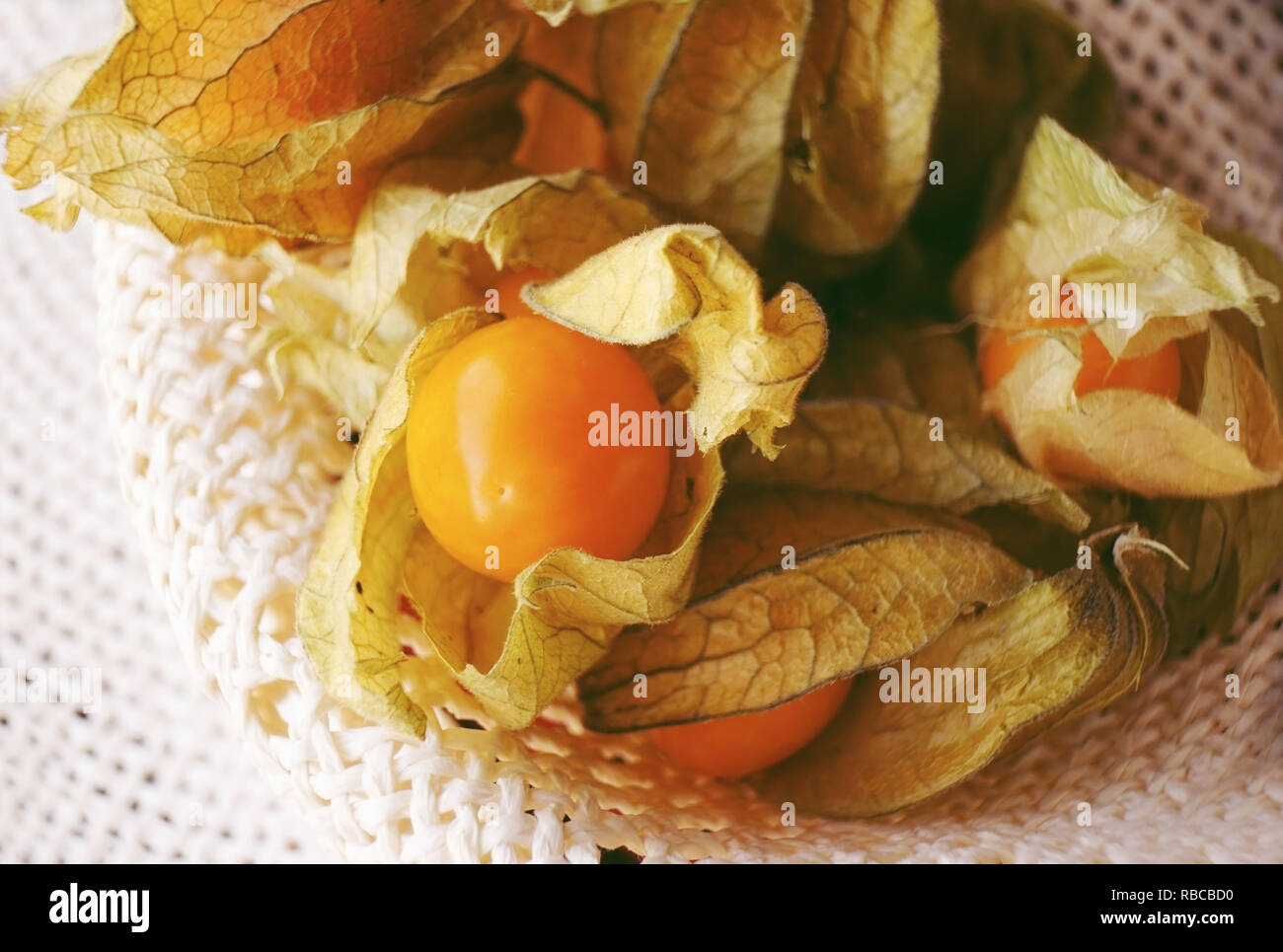 Beautiful macro close-up of a orange tasty fruit named physalis from Peru, South America, in a cute textile basket Stock Photo