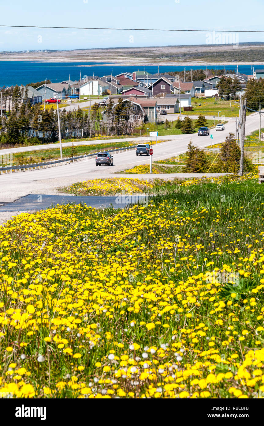 Port saunders newfoundland hires stock photography and images Alamy
