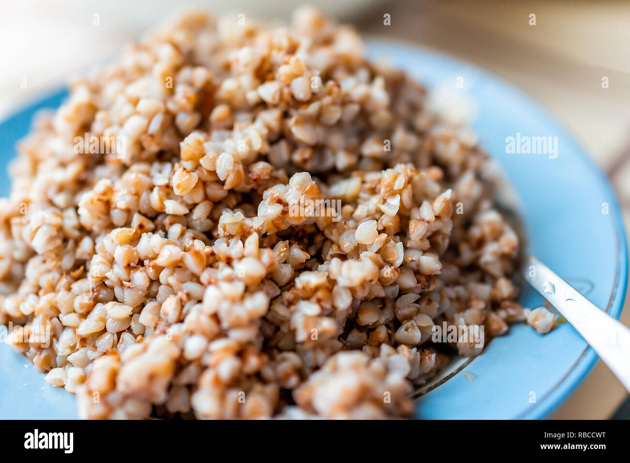 Macro closeup of boiled brown roasted traditional buckwheat grain breakfast Ukrainian or Russian food cooked plain in blue dish or plate on table Stock Photo