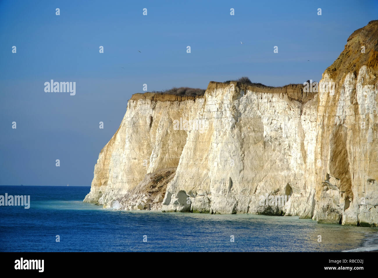 Chalk cliffs at Newhaven, East Sussex, UK Stock Photo