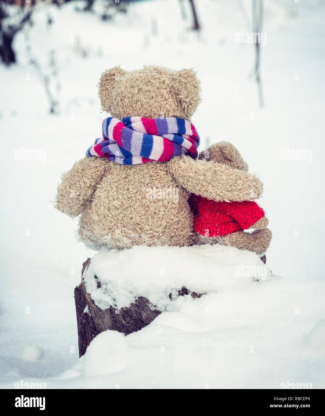 two teddy brown bears sit hugging on stump and look into the distance, posture back to camera, winter day Stock Photo