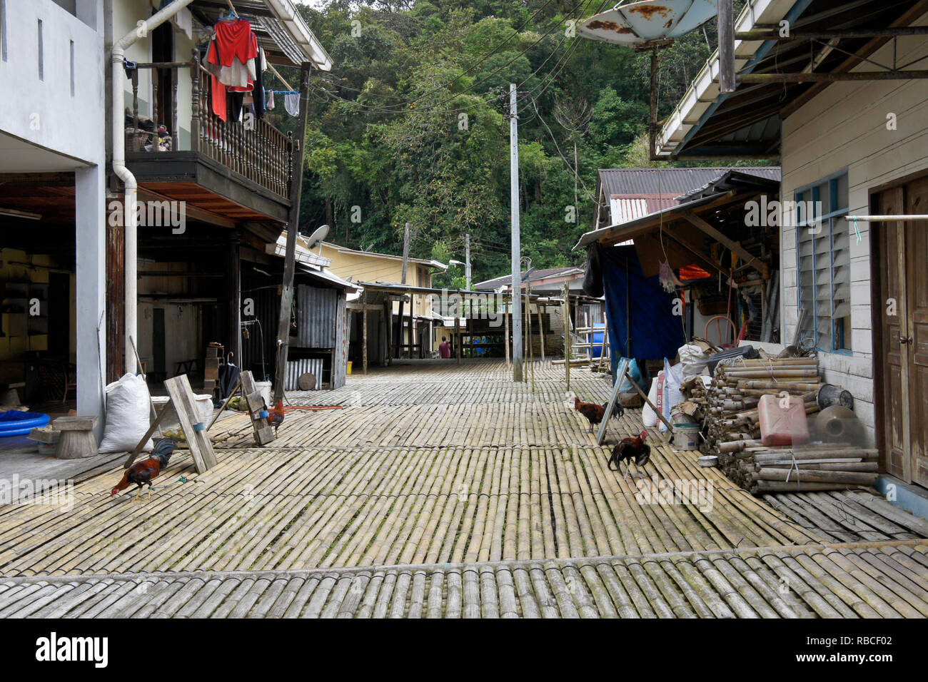 Longhouses High Resolution Stock Photography And Images Alamy