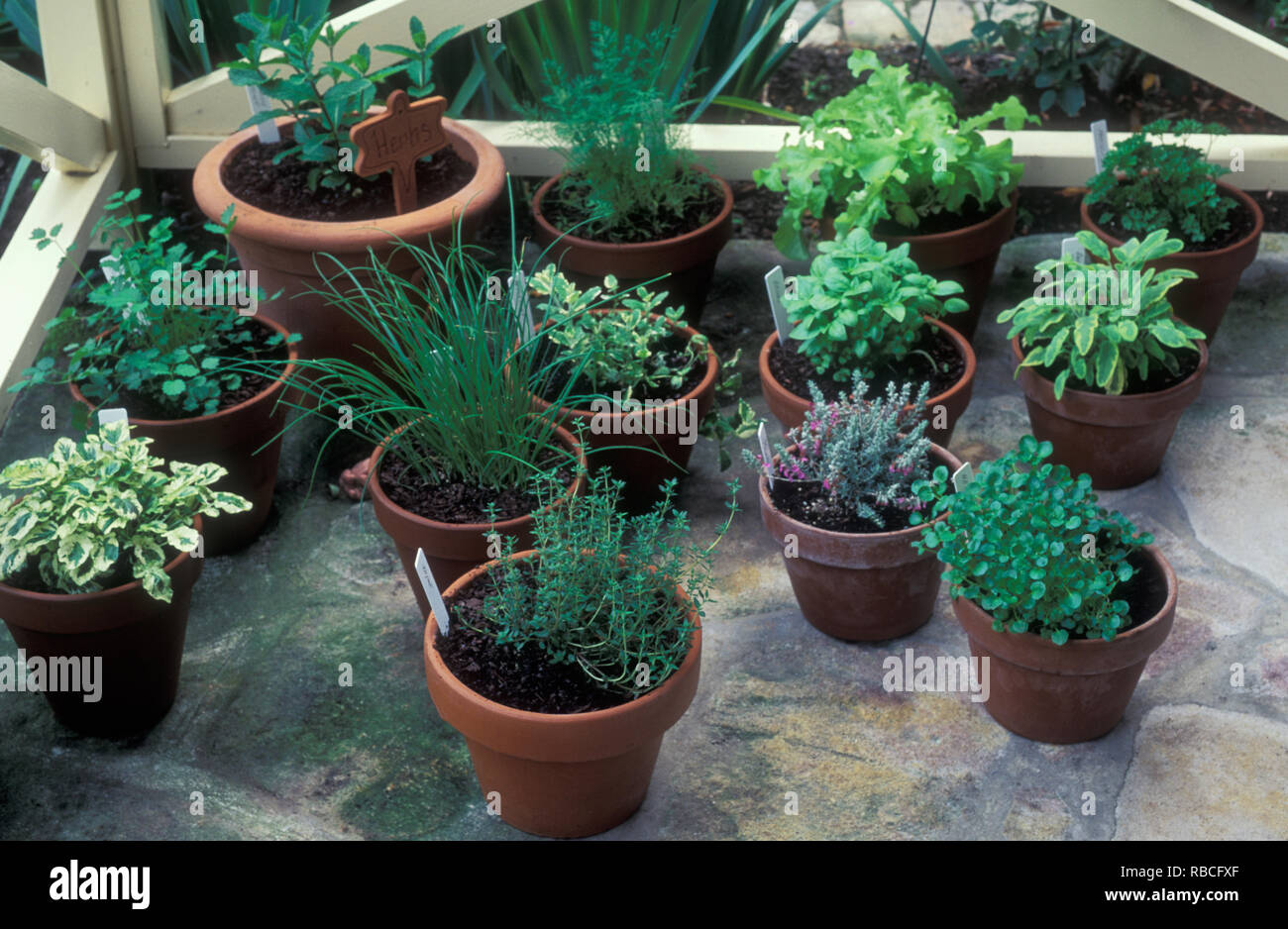 Mixed herb terracotta hires stock photography and images Alamy
