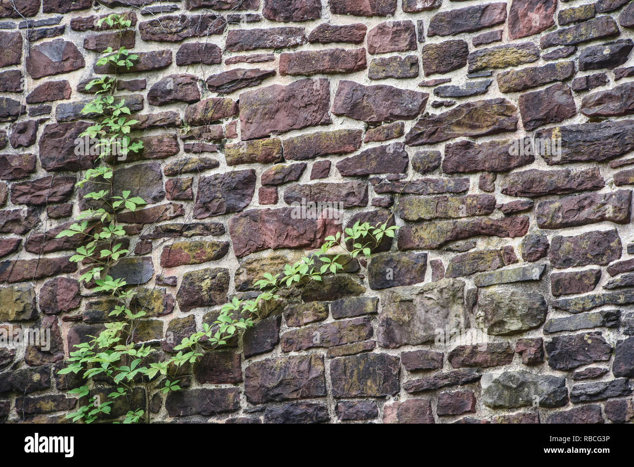 Rock wall backgrounds Stock Photo - Alamy