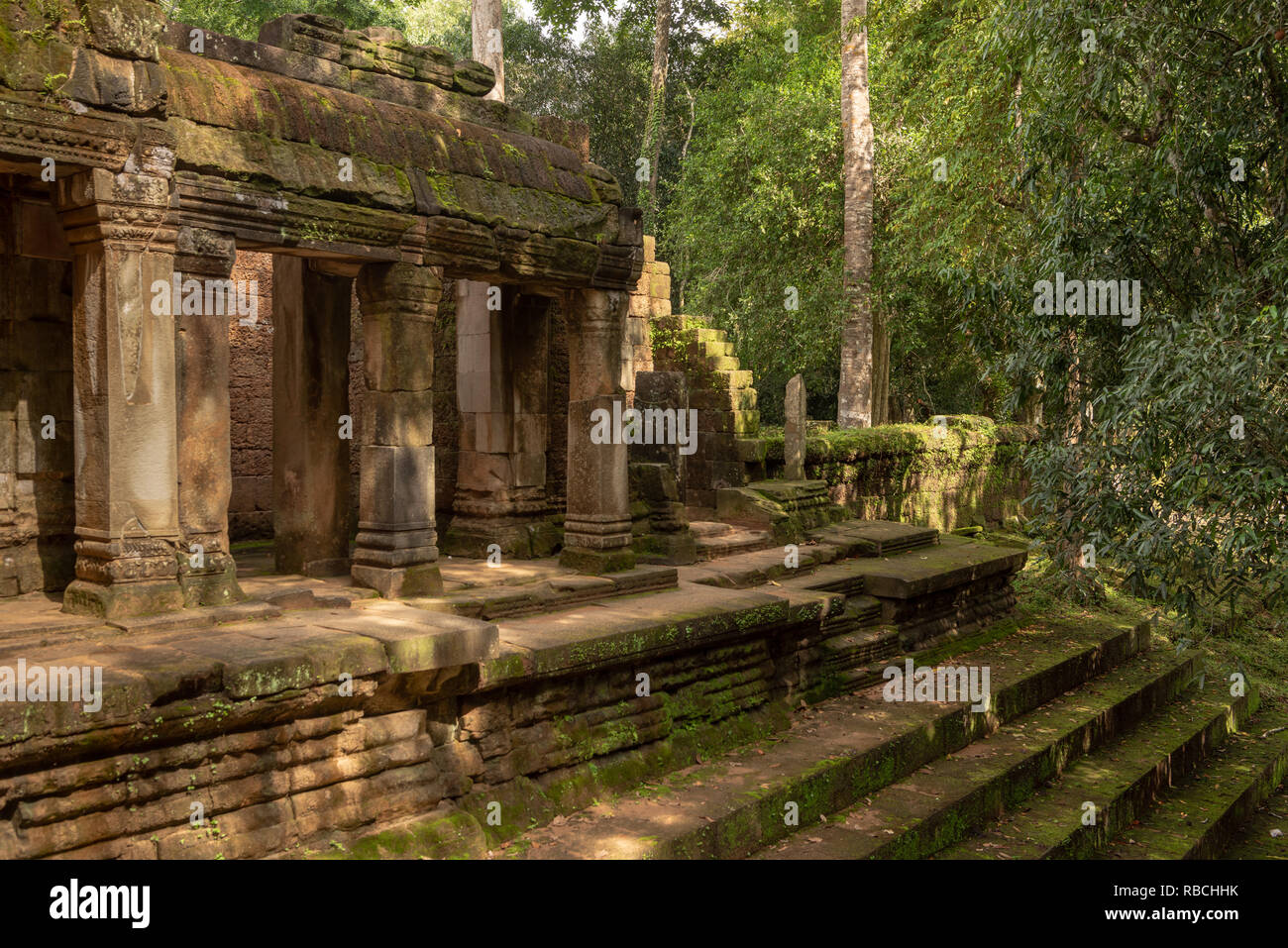 Colonnade And Steps Of Ruined Jungle Temple Stock Photo Alamy