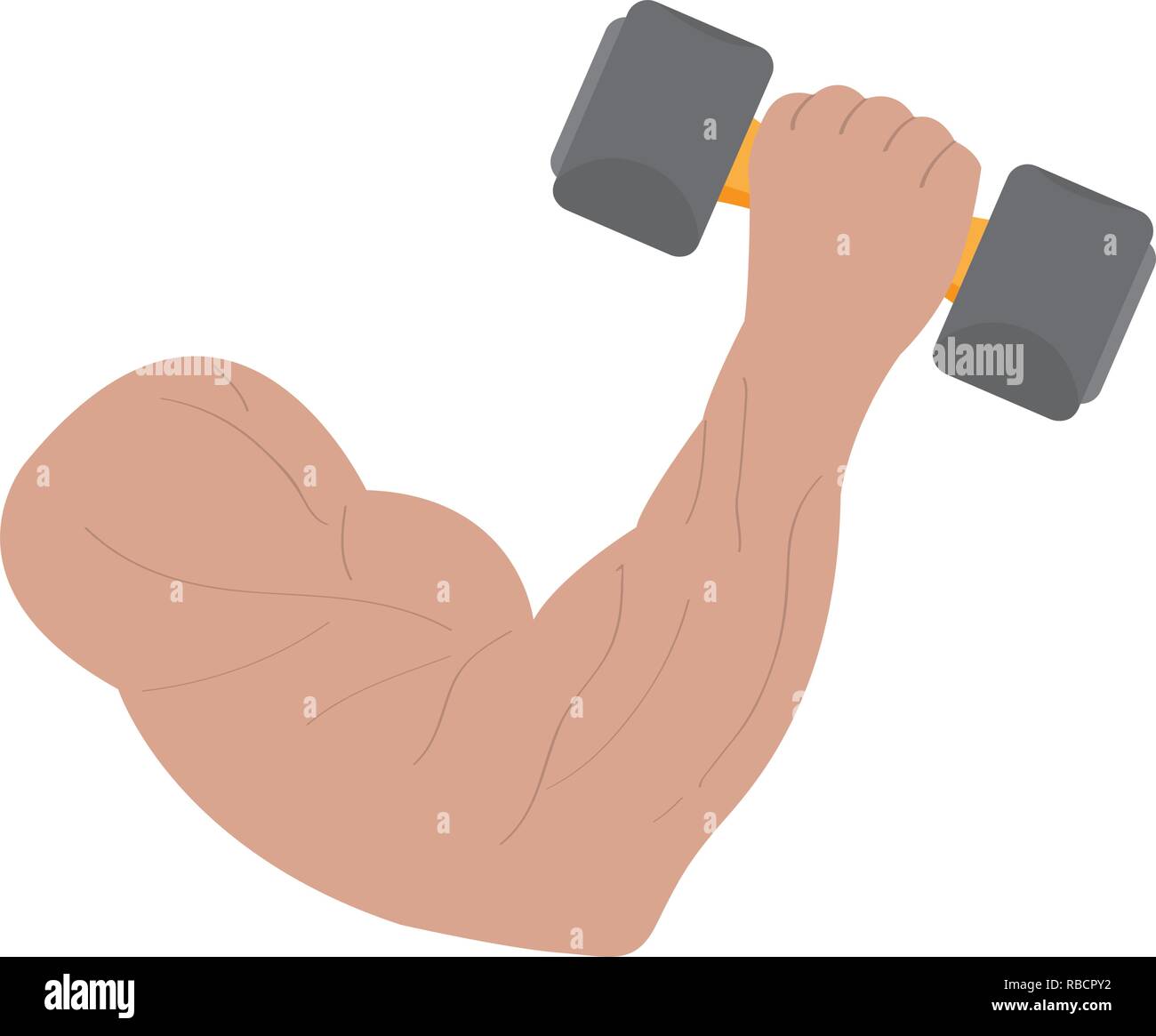 Fitness concept. Arm lifting a weight. Vector illustration design Stock