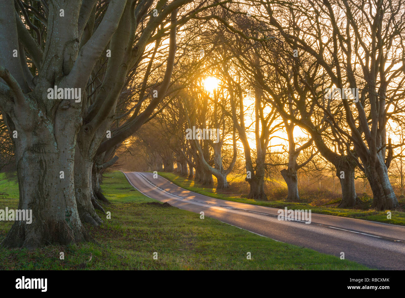 Sunrise sun rising behind road hires stock photography and images Alamy