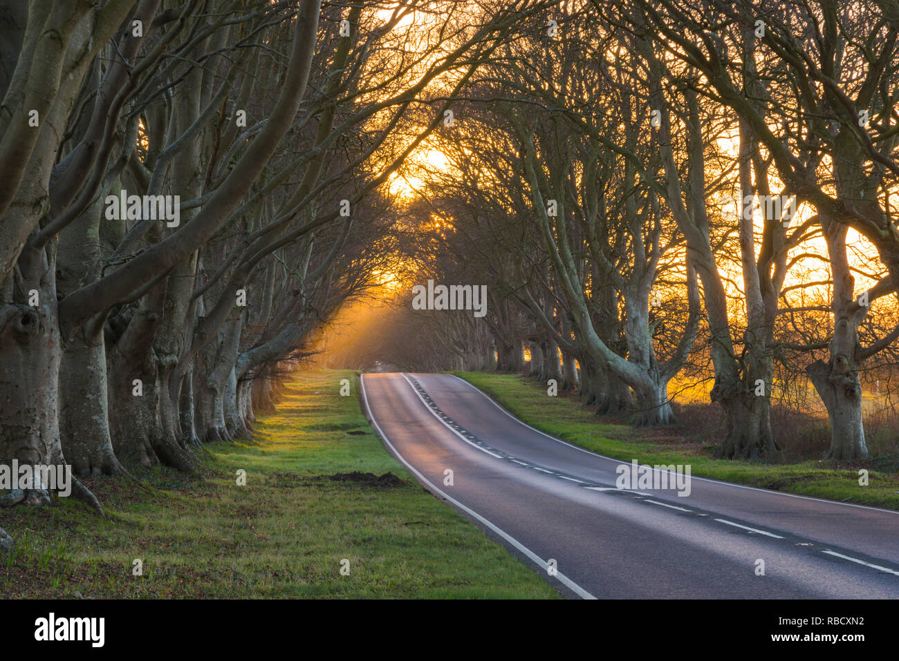 Sunrise sun rising behind road hires stock photography and images Alamy